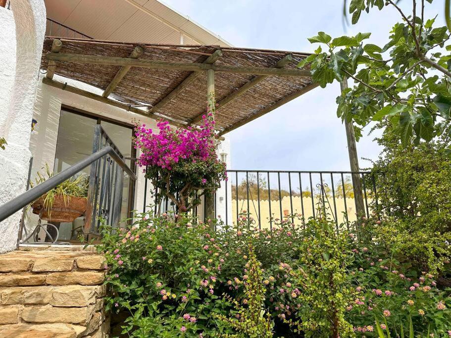 Villa Los Faramondos Naturehouse 투레 외부 사진