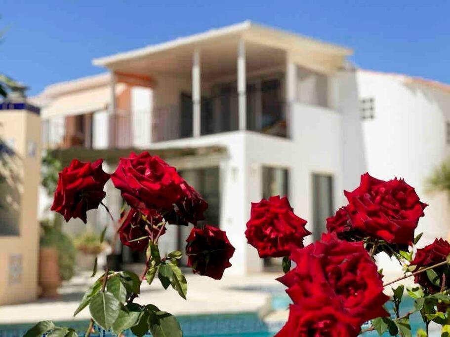 Villa Los Faramondos Naturehouse 투레 외부 사진