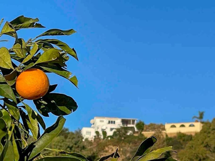 Villa Los Faramondos Naturehouse 투레 외부 사진