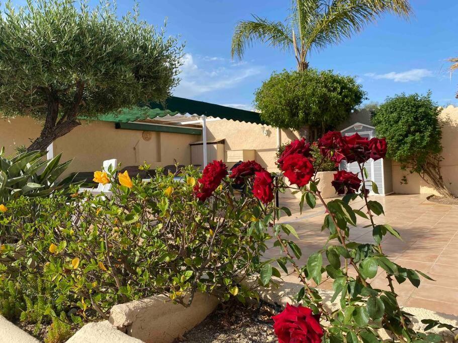 Villa Los Faramondos Naturehouse 투레 외부 사진